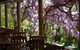 Skillogalee Winery & Restaurant - thumb 2