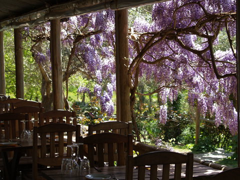 Skillogalee Winery & Restaurant - Accommodation Sunshine Coast 2