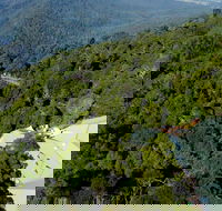 Canopy Cafe - Accommodation Sunshine Coast