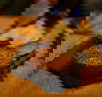 Hell of the North - Accommodation Sunshine Coast