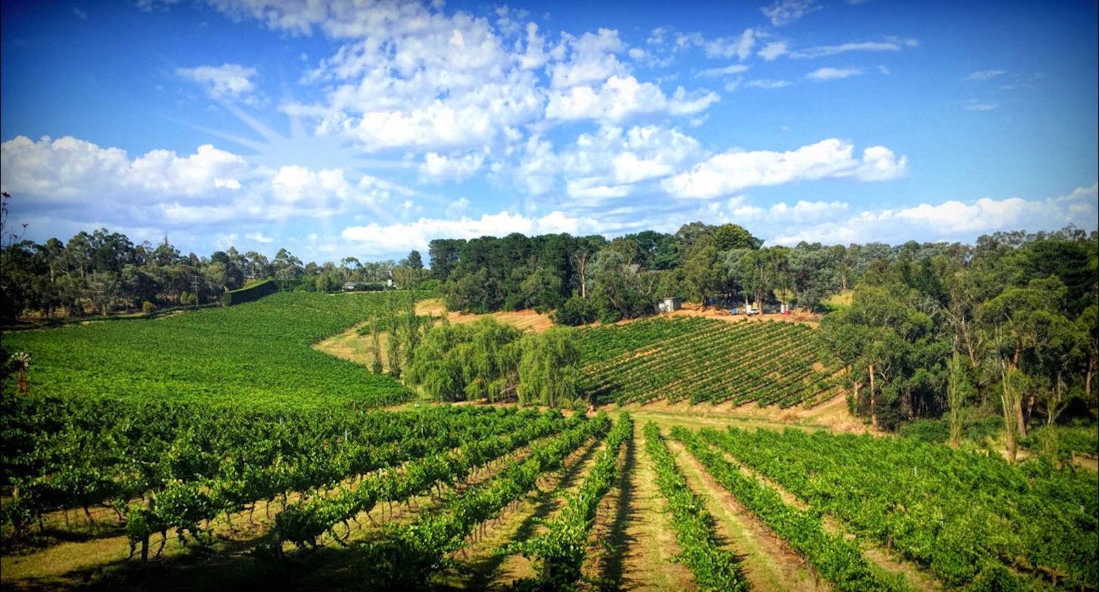 Eastern Melbourne VIC Accommodation Sunshine Coast