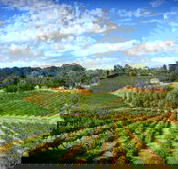 Kellybrook Winery and Kelly Brothers Cider - Accommodation Sunshine Coast