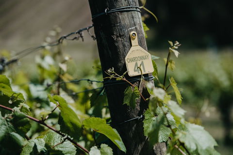 Kellybrook Winery And Kelly Brothers Cider - Accommodation Sunshine Coast 2