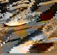 Perso - Accommodation Sunshine Coast