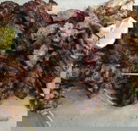 Pita Wrap It - Accommodation Sunshine Coast