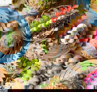 Raw Energy - Sippy Downs - Accommodation Sunshine Coast