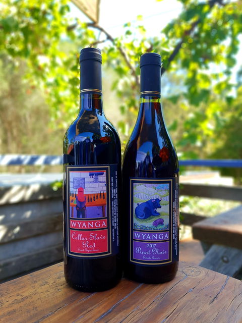 Wyanga Park Winery - Accommodation Sunshine Coast 1