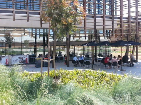 Aroma Cafe - Mawson Lakes - Accommodation Sunshine Coast 0