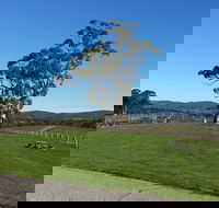 Nepenthe Wines - Accommodation Sunshine Coast