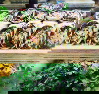 Salud Expresso Bar - Accommodation Sunshine Coast