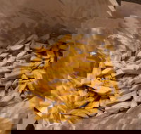 The Little Chippy - Accommodation Sunshine Coast