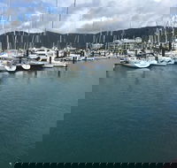 Whitsunday Sailing Club - Accommodation Sunshine Coast