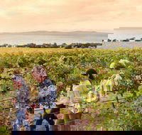 Boston Bay Wines - Accommodation Sunshine Coast