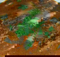 Four Figs - Accommodation Sunshine Coast