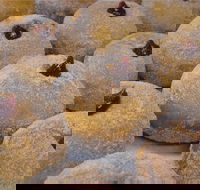 Miami Bakehouse Mandurah - Accommodation Sunshine Coast