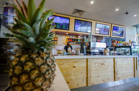 Raw Energy Springfield - Accommodation Sunshine Coast 1