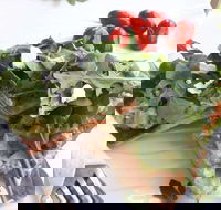 The Garden Tearooms  Cottage Nursery - Accommodation Sunshine Coast