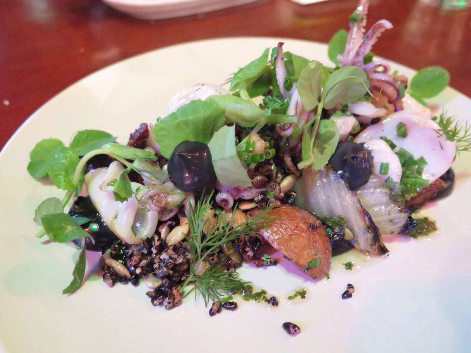 Cedar Creek QLD Accommodation Sunshine Coast