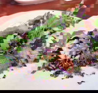 YaYa Bar and Eatery - Accommodation Sunshine Coast