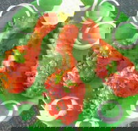 Coconut Lagoon Indian Cuisine - Accommodation Sunshine Coast