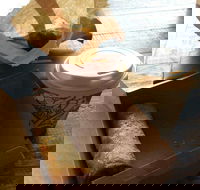 Kunara Organic Cafe - Accommodation Sunshine Coast