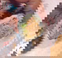 La Porchetta Colac - Colac - Accommodation Sunshine Coast