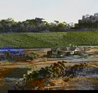 Spence Wines - Accommodation Sunshine Coast