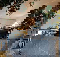 Pinkie - Accommodation Sunshine Coast