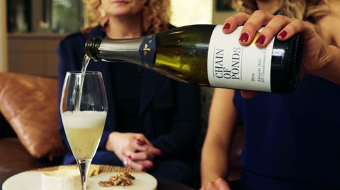 Adelaide Hills-Billies Cheese & Wine Tasting - Accommodation Sunshine Coast 2