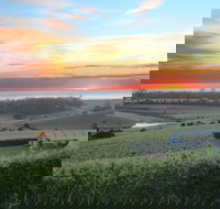 Cape Bernier Vineyard - Accommodation Sunshine Coast