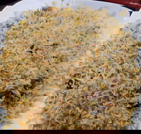 Man-O-Salwa - Clayton - Accommodation Sunshine Coast