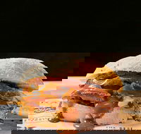 Sandwich Chefs - Accommodation Sunshine Coast