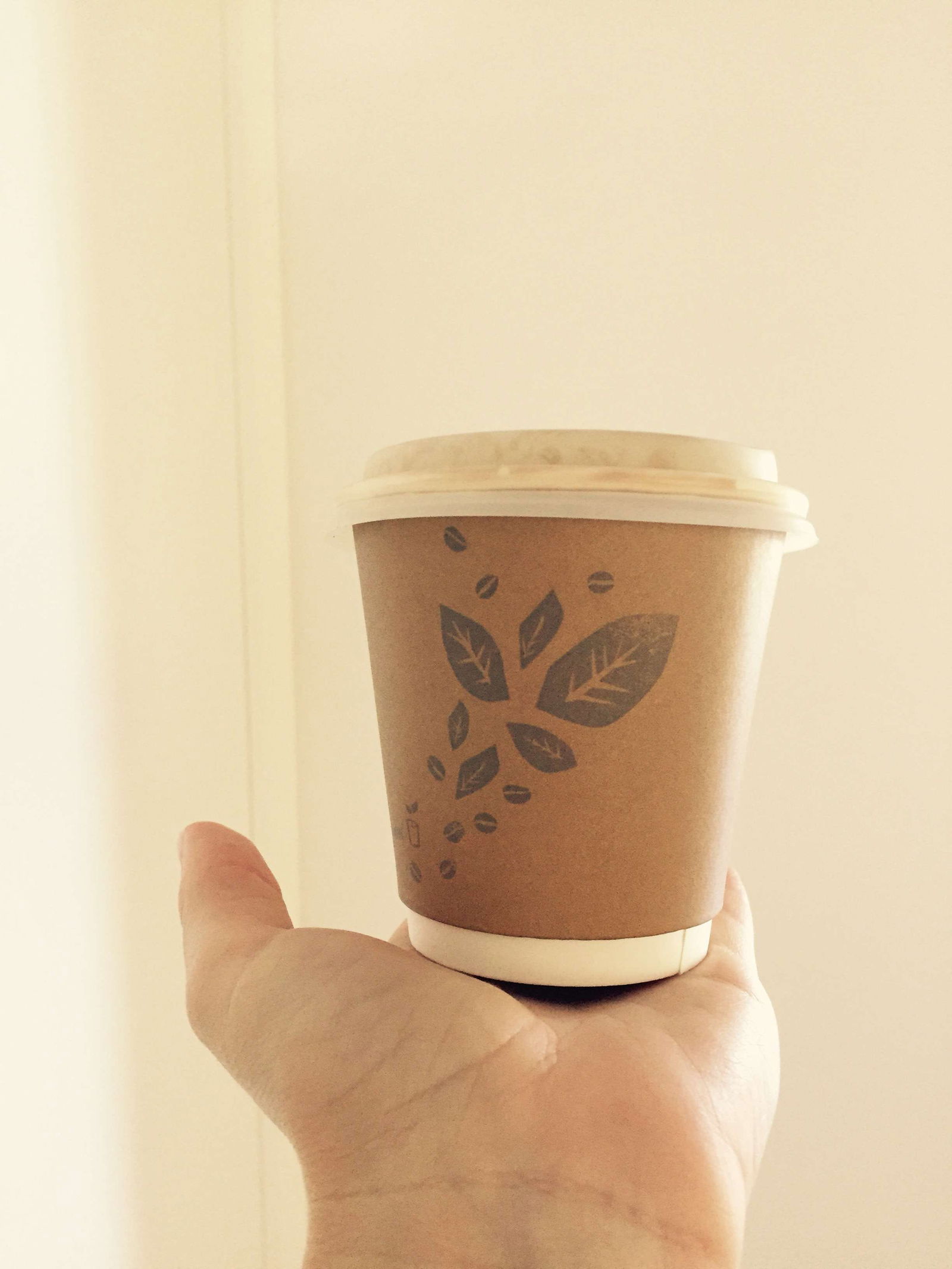  Accommodation Sunshine Coast