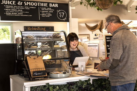 The Big Green Cup - Accommodation Sunshine Coast 0