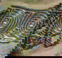 Bago Maze and Wine - Accommodation Sunshine Coast