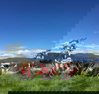 Red Feet Wines - Accommodation Sunshine Coast