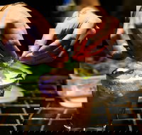 Mr Beebes - Accommodation Sunshine Coast