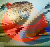 Routleys Bakery - Accommodation Sunshine Coast