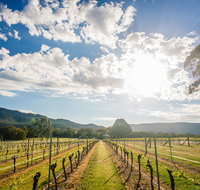 Fallen Giants Vineyard - Accommodation Sunshine Coast