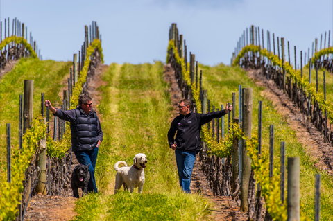 Tim Adams Wines - Accommodation Sunshine Coast 2
