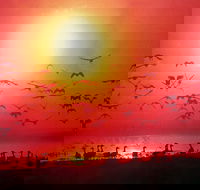 Barra Cafe on Riverview - Accommodation Sunshine Coast