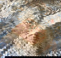 Mad Mex Fresh Mexican Grill - Accommodation Sunshine Coast