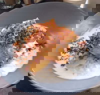 Jimmy Fox - Accommodation Sunshine Coast