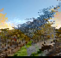 Ruddenklau Wines - Accommodation Sunshine Coast