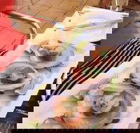 Sirocco Noosa - Accommodation Sunshine Coast