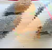 Taylor's Seafood - Accommodation Sunshine Coast