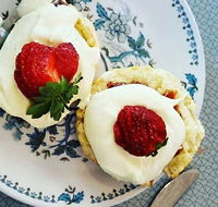 Cuisines - Accommodation Sunshine Coast
