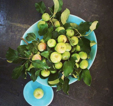 Seed Winehouse + Kitchen - Accommodation Sunshine Coast 6
