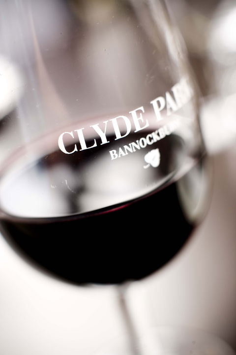 Clyde Park Vineyard & Bistro - Accommodation Sunshine Coast 0