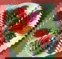 Olive Bus Clare - Accommodation Sunshine Coast